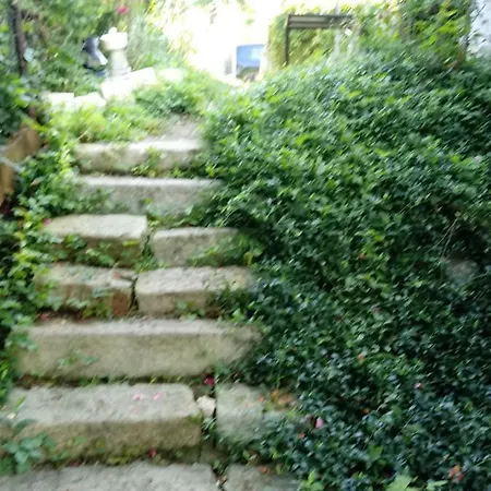 Apartman Hajra شقة