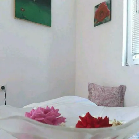 Apartman Hajra * توزلا
